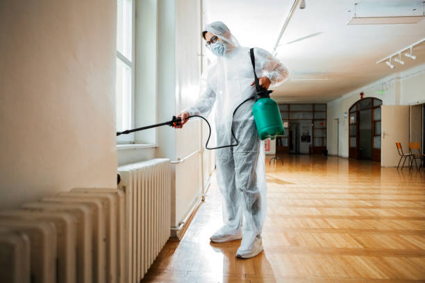 Real Estate Pest Inspections in Carterville, IL